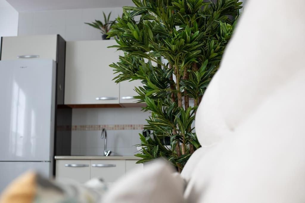 Trinidad Apartment مالقة المظهر الخارجي الصورة